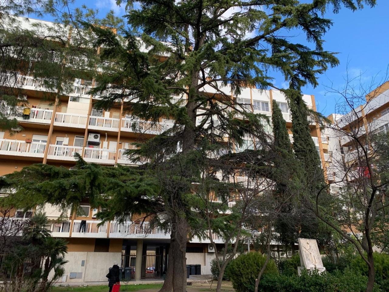 Agora B&B Urban Relais Canosa di Puglia Dış mekan fotoğraf